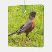 American Robin Keramikornament (Links)