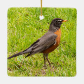 American Robin Keramikornament (Rückseite)