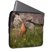 American Robin Laptopschutzhülle (Vorne Rechts)