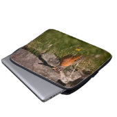 American Robin Laptopschutzhülle (Vorne Knopf)