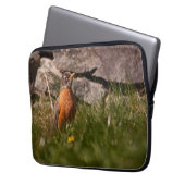 American Robin Laptopschutzhülle (Vorderseite Links)