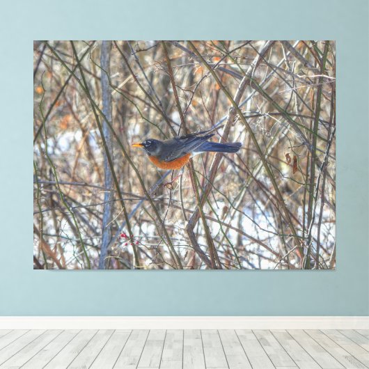 American Robin Leinwanddruck (Insitu (Holzboden))