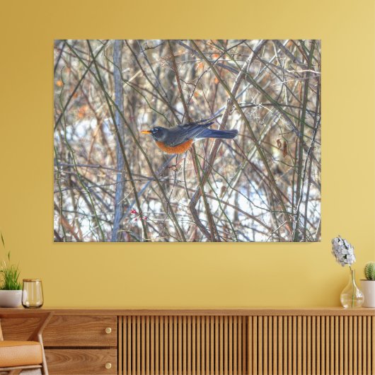 American Robin Leinwanddruck (Insitu (Wohnzimmer))
