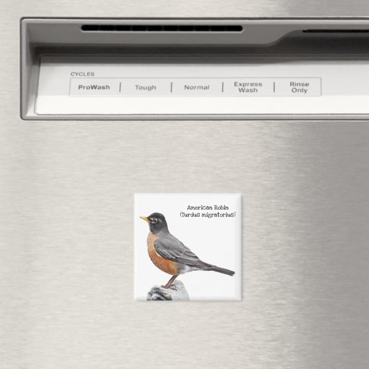 American Robin Magnet (In Situ (Geschirrspüler))