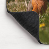 American Robin Mousepad (Ecke)