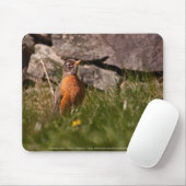 American Robin Mousepad (Mit Mouse)