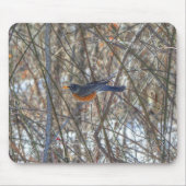 American Robin Mousepad (Vorne)
