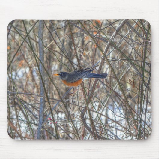 American Robin Mousepad (Vorne)