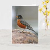American Robin Notecard Karte (Gelbe Blume)