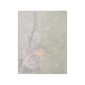 American Robin Notizblock (Rotiert)