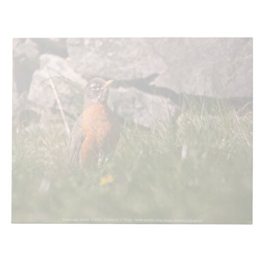 American Robin Notizblock (Vorderseite)