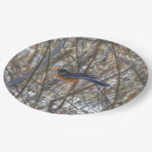 American Robin Pappteller (Schrägansicht)