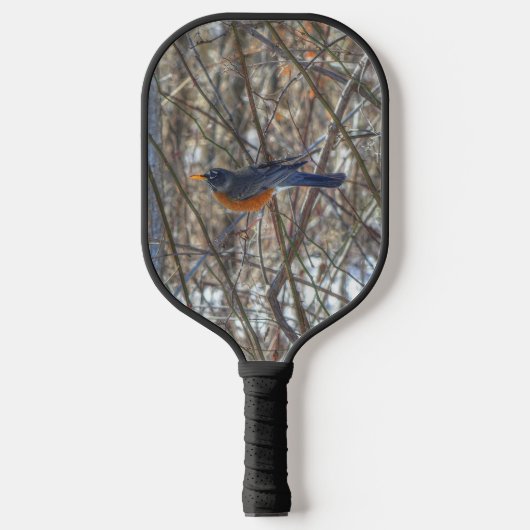American Robin Pickleball Schläger (Vorderseite)