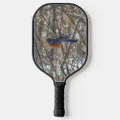 American Robin Pickleball Schläger (Rückseite)