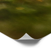 American Robin Poster (Ecke)