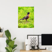 American Robin Poster (Heimbüro)