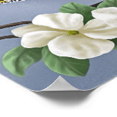 American Robin Poster (Ecke)