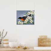 American Robin Poster (Küche)