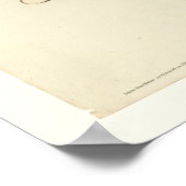 American Robin Poster (Ecke)