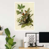 American Robin Poster (Heimbüro)