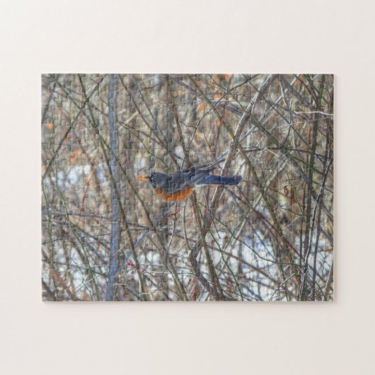 American Robin Puzzle (Horizontal)