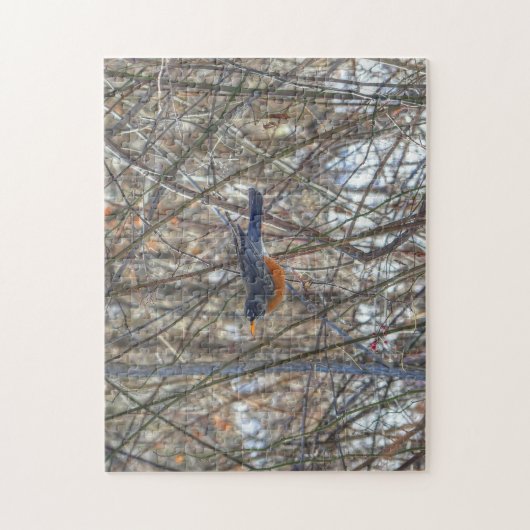 American Robin Puzzle (Vertikal)