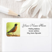 American Robin Rücksendeadresse (Insitu)