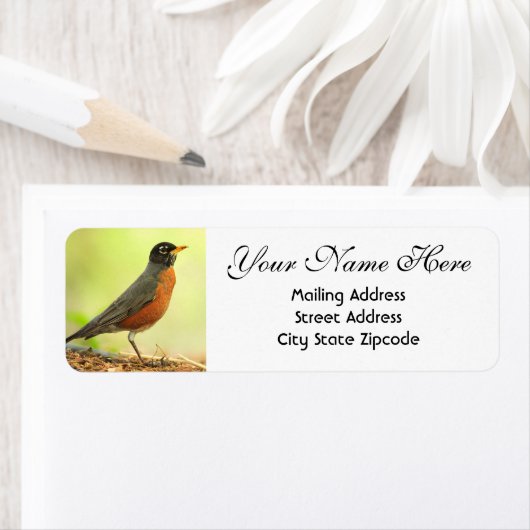 American Robin Rücksendeadresse (Insitu)