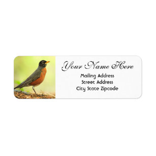 American Robin Rücksendeadresse