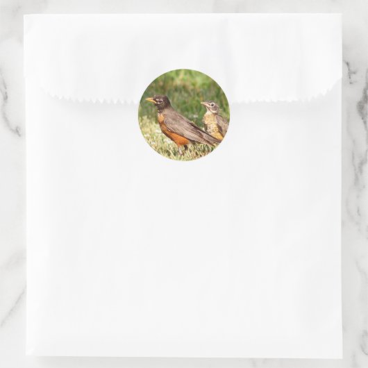 American Robin Runder Aufkleber (Tasche)