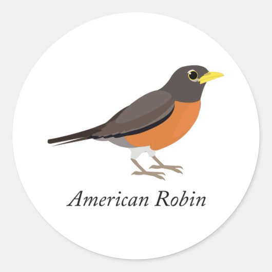 American Robin Runder Aufkleber (Vorderseite)