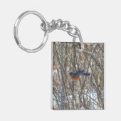 American Robin Schlüsselanhänger (Vorderseite links)