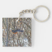 American Robin Schlüsselanhänger (Rückseite)