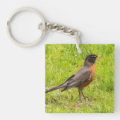 American Robin Schlüsselanhänger (Vorderseite)