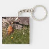 American Robin Schlüsselanhänger (Rückseite)