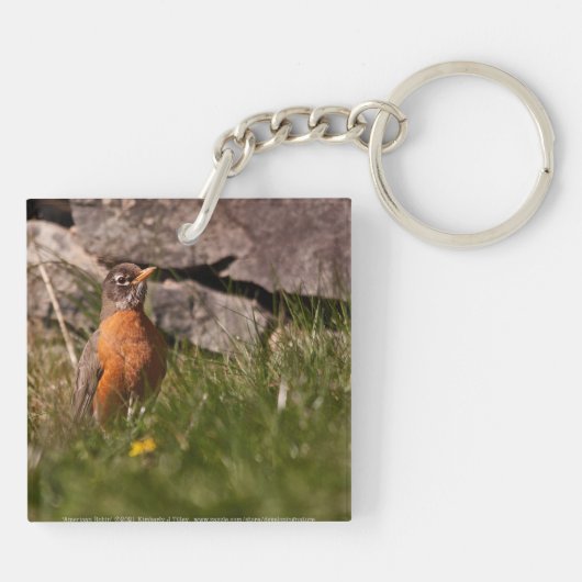 American Robin Schlüsselanhänger (Rückseite)
