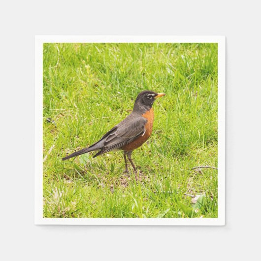 American Robin Serviette (Vorderseite)