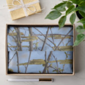 American Robin Spring Blossoms Catkins Seidenpapier (Geschenk)