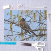 American Robin Spring Blossoms Catkins Seidenpapier (Handwerk)