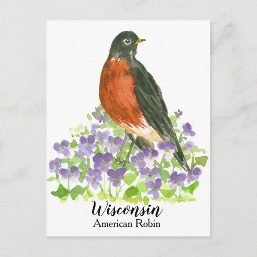 American Robin Staat Bird of Wisconsin Postkarte (Vorderseite)