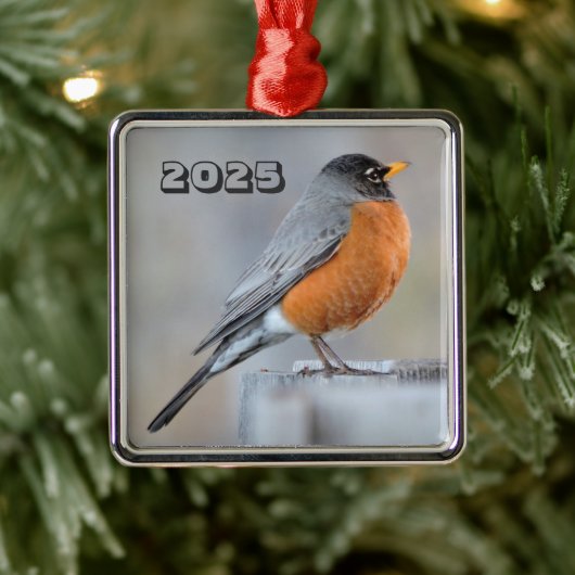 American Robin Stehend am Fence Post Wintry Day Ornament Aus Metall (Baum)