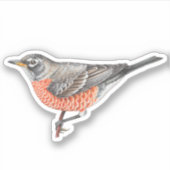 American Robin Sticker (Vorderseite)