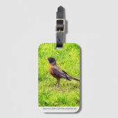 American Robin (Turdus migratorius) Gepäckanhänger (Vorderseite Vertikal)