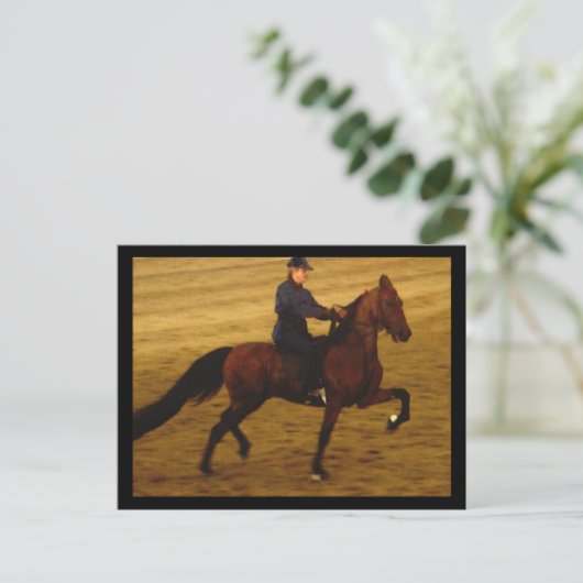 American Saddlebed Postcard Postkarte (Stehend Vorderseite)