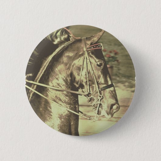 American Saddlebred Faux Vintage Button (Vorderseite)