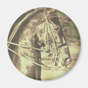 American Saddlebred Faux Vintage Magnet