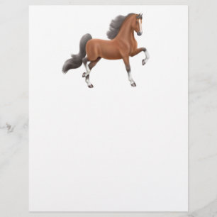 American Saddlebred Flyer