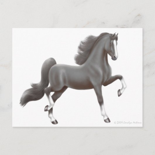 American Saddlebred Horse Postcard Postkarte (Vorderseite)
