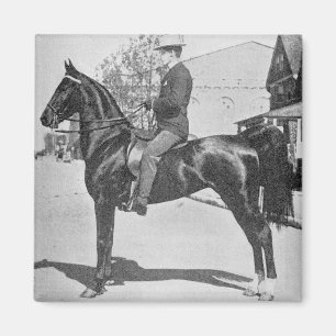 American Saddlebred Horse Vintag Fotografie Magnet