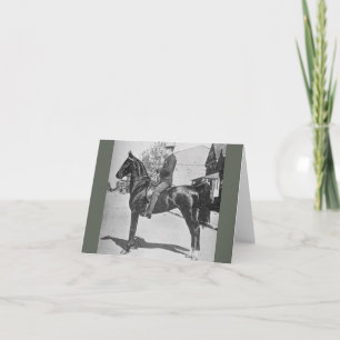 American Saddlebred Horse - Vintages Foto anzeigen Karte
